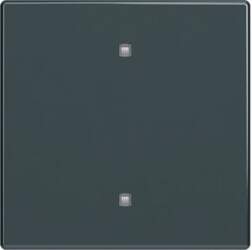 ABB Rocker for Electronic push button
