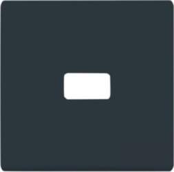 ABB Rocker with legend for Switch/push