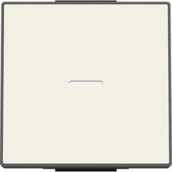 ABB Rocker Without imprint for Switch/push