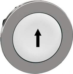Schneider Electric Flush mounted push button