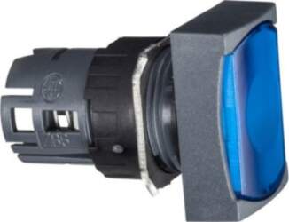 Schneider Electric Head for illuminated push