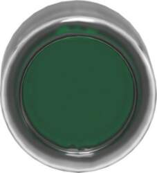 Schneider Electric Head for illuminated push