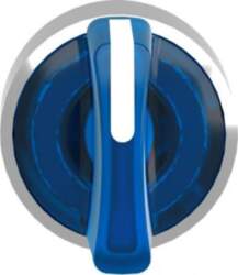 Schneider Electric Head for illuminated selector