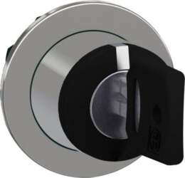 Schneider Electric Head for key selector