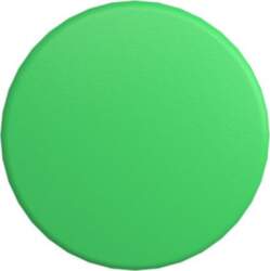 Schneider Electric Head for non illuminated