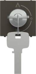ABB Key switch insert/cover Key, Alternating-/alternat