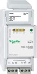 Schneider Electric Binary input REG-K/4x230, light