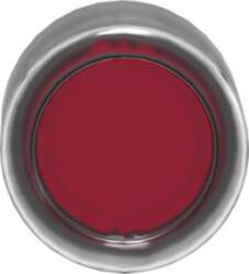 Schneider Electric Head for illuminated push