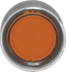 Schneider Electric Head for illuminated push