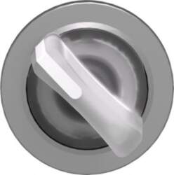 Schneider Electric Head for illuminated selector