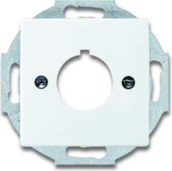 ABB 2533-84 Centrālplate 2CKA001724A4256 | 4011395065679