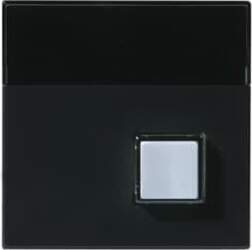 ABB Center plate Switch/push button Anthracite
