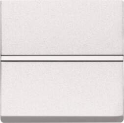 ABB Switch 1-way Double Pole Rocker/button