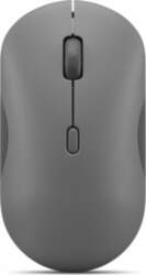 Lenovo Silent Mouse | 350 |