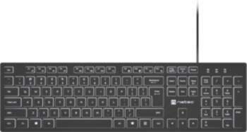 Natec | Herring Glow | Keyboard