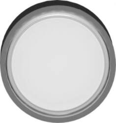 Schneider Electric Head for illuminated push