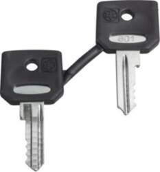 Schneider Electric Key, Harmony XB4, replacement