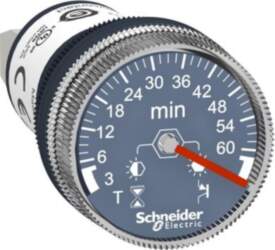 Schneider Electric Panel mounted timer monofunction