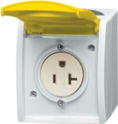ABB Busch-NEMA Socket with labelling field