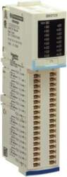 Schneider Electric basic digital input module
