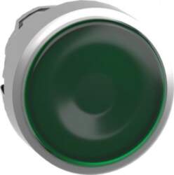 Schneider Electric Head for illuminated push