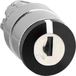 Schneider Electric Key switch selector head