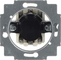 ABB Blind switch insert Key 2-pole