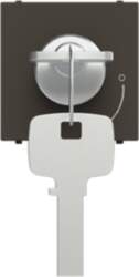 ABB Key switch insert/cover Key, Alternating-/alternat