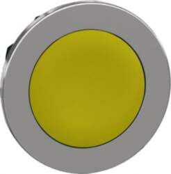 Schneider Electric Flush mounted push button
