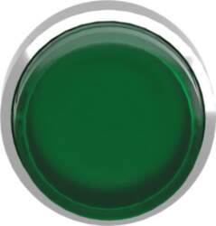 Schneider Electric Head for illuminated push