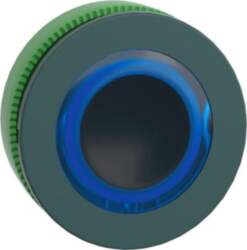 Schneider Electric Head for illuminated push