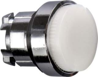 Schneider Electric Head for illuminated push