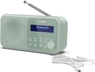 Sharp Tokyo Digital Radio | DR-P420(GN)
