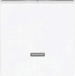 ABB Control Element for Dimmer Two-part