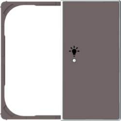 ABB Cover plate Symbol "light"