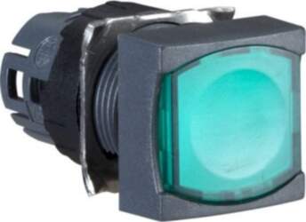 Schneider Electric Head for illuminated push