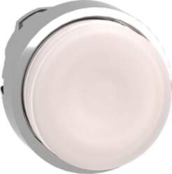Schneider Electric Head for illuminated push