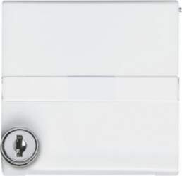 ABB Intermediate Ring with labelling field