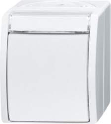 ABB Mechanical Controls Rocker/button, Two-way switch