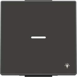 ABB Rocker Symbol "light" for