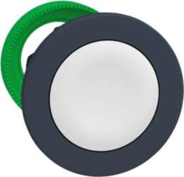 Schneider Electric Antimicrobial Flush mounted push