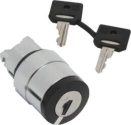 Schneider Electric Head for key selector