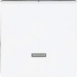 ABB Control Element for Dimmer Two-part