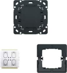 ABB Friends of Hue Smart Switch