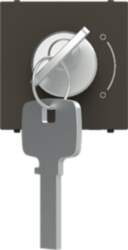 ABB Key switch insert/cover Key, Alternating-/alternat