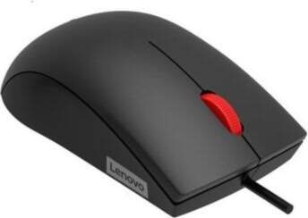 Lenovo | Mouse | 120 |