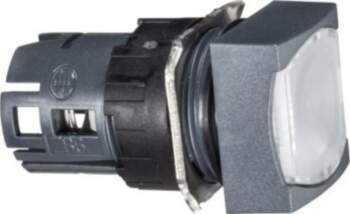 Schneider Electric Head for illuminated push