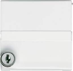 ABB Intermediate Ring with labelling field