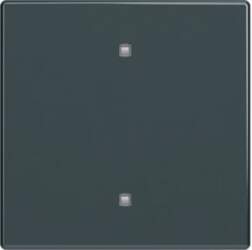 ABB Rocker for Electronic push button