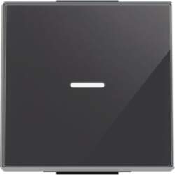 black push button